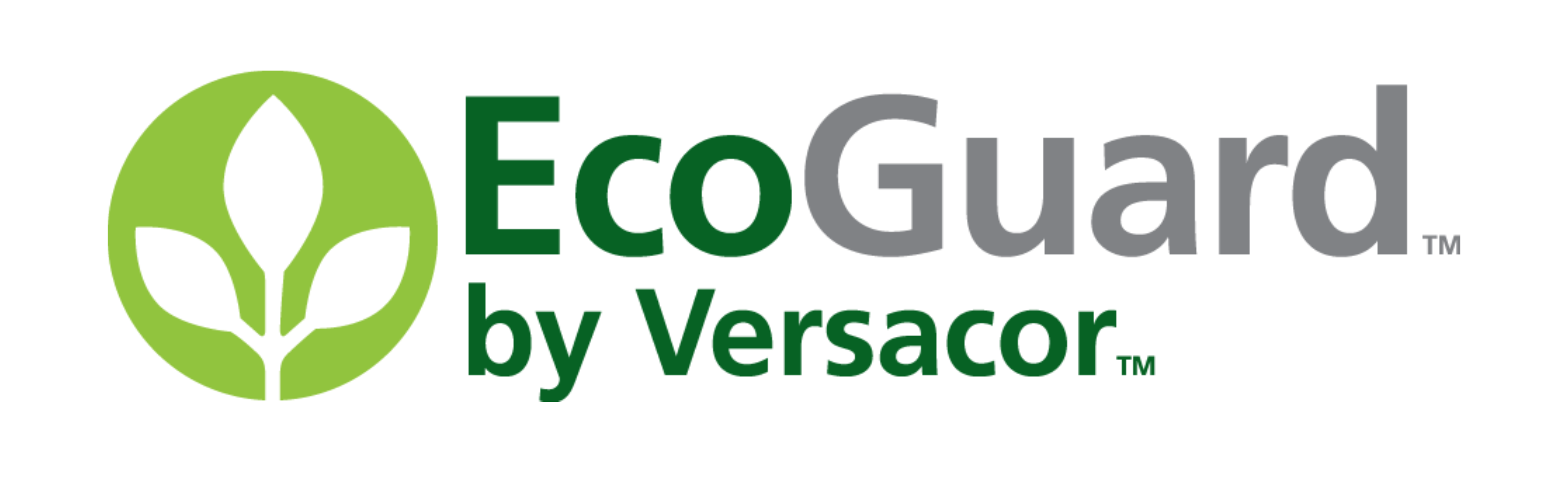 Ecoguard Logo